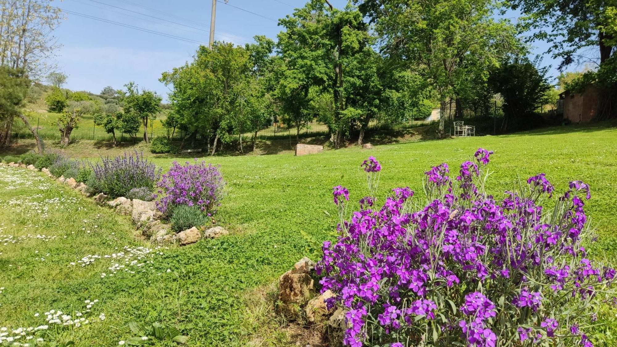 Agriturismo Le Grondaie Siena Exterior photo
